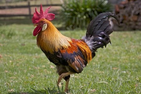 petite slut onlyfans nude galleries