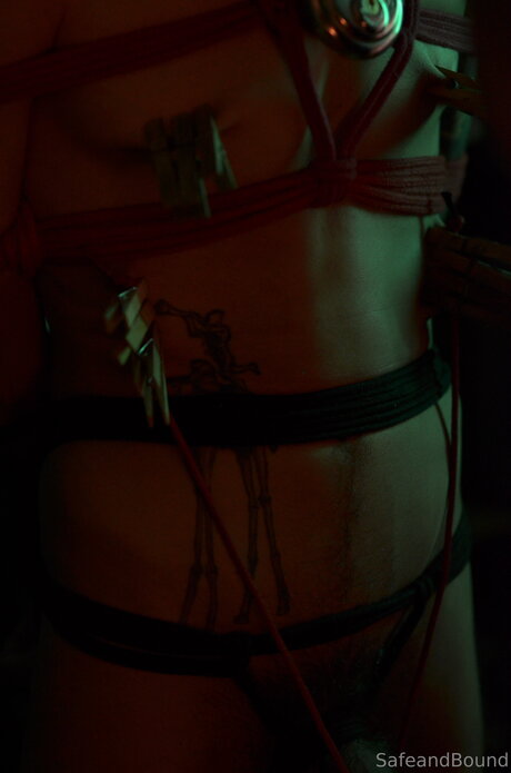 Safe and Bound nude star image