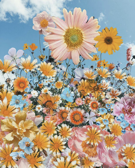 sadgrrlx star porn img