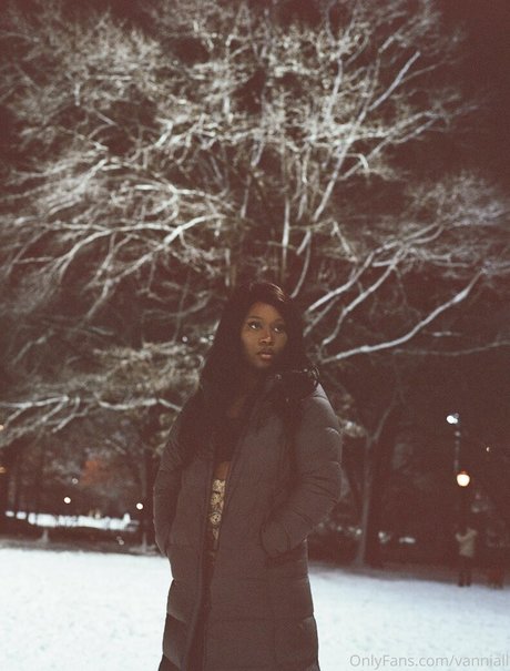 Vanniall nice model galleries