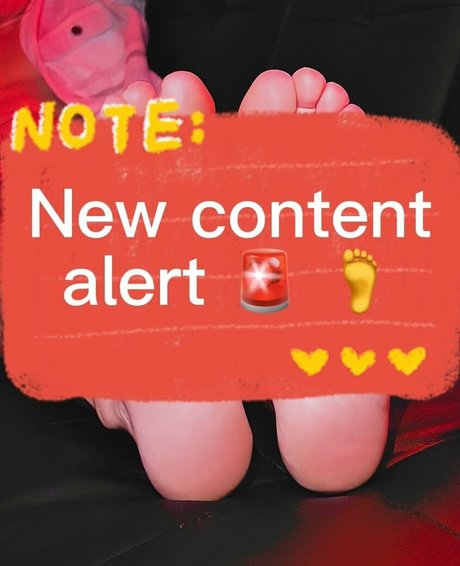 misterwontons erotic star img