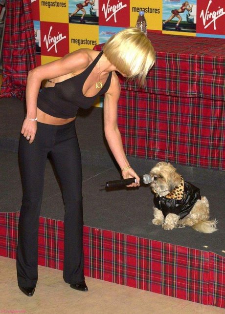 gay dildo onlyfans best gallery