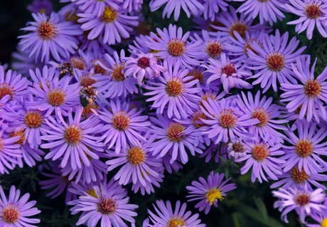 u37365736 pornstar sex images