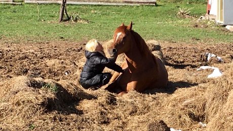 Caprice Capone sexy pornstar pictures