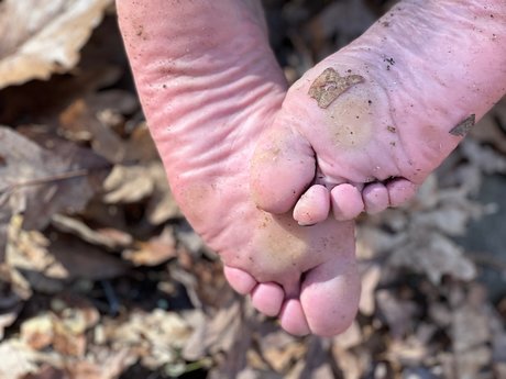 Misspaticas exclusive star gallery