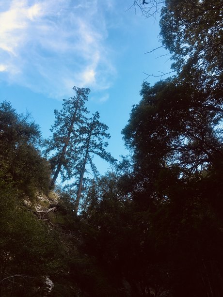 Thickdickmvn model top image