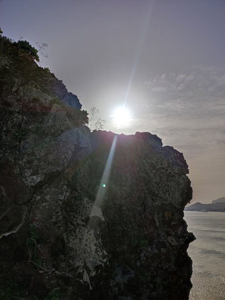 Yellowunshine best model galleries