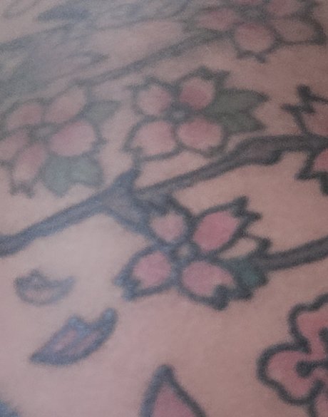 bbw trans onlyfans nude photo