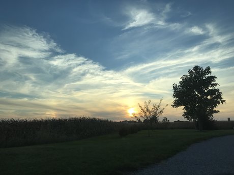 xxx ebony onlyfans nudes images