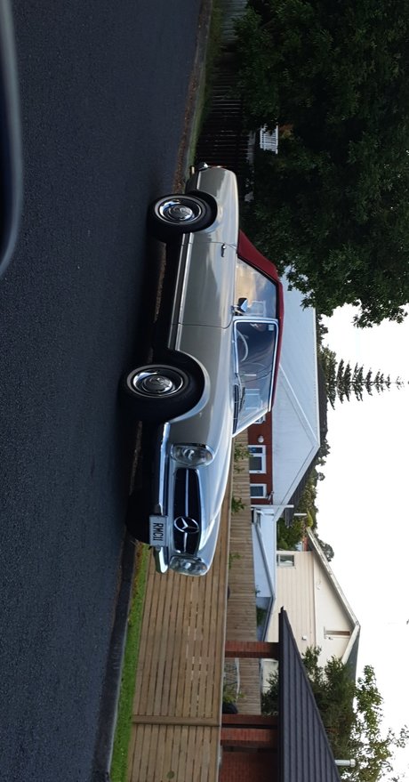 Pet star xxx galleries