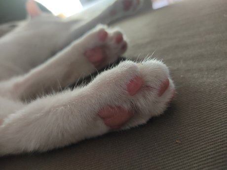 Ana Oliveros star erotic picture