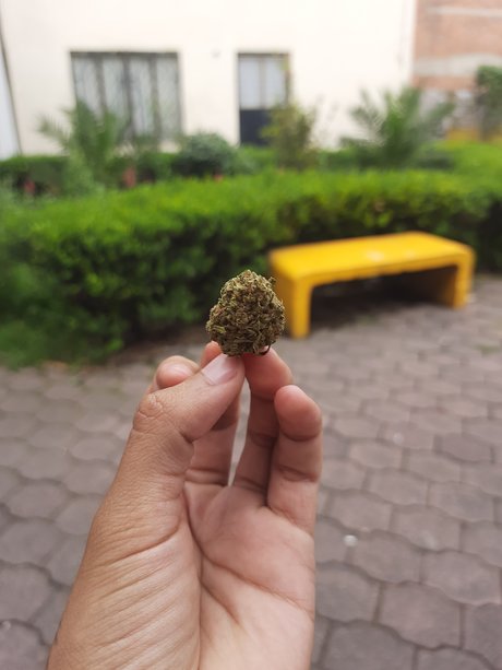 Mala Fama hot model pictures