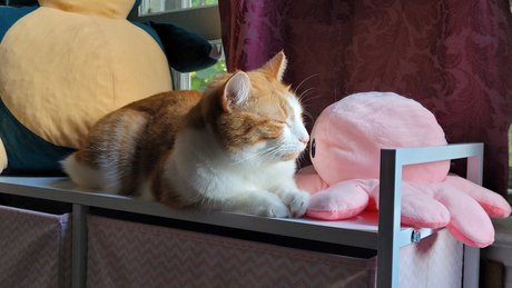 Zeus Lightning_ pornstar sexy photo