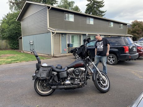 Mr Fox star pretty pic