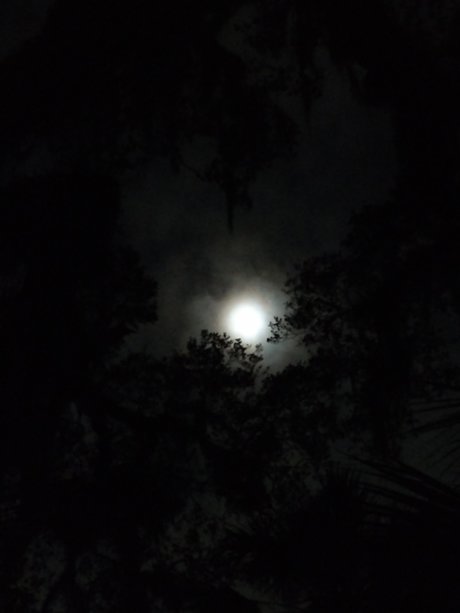 Skolomend best star photo