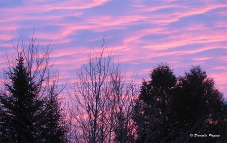 gayboy pornstar nudes images