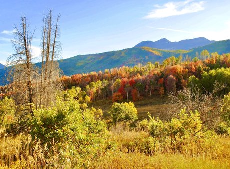 mom daughter onlyfans pretty galleries