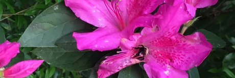 feet slave onlyfans art nude gallery