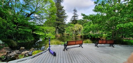 parasiteonwheels xxx actress galleries