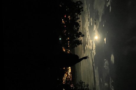 D Dee star beautiful pictures