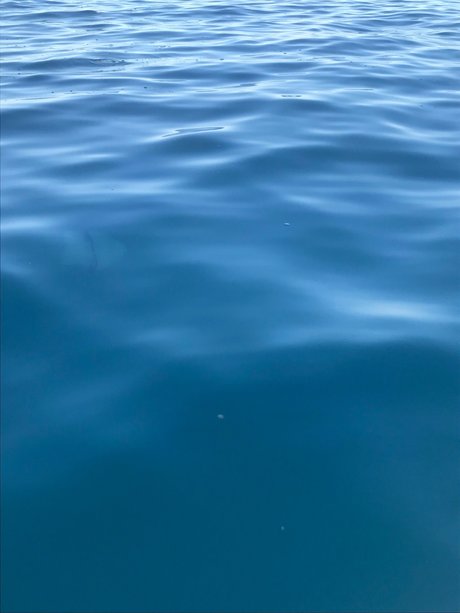 south onlyfans art xxx pics