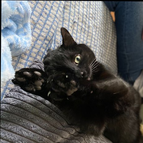 Oakley model porn pics