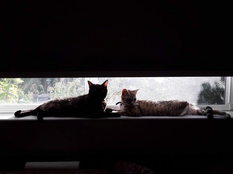 Nug nude actress pictures