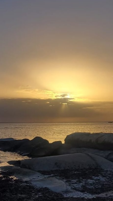 amateur orgy onlyfans hot porn images