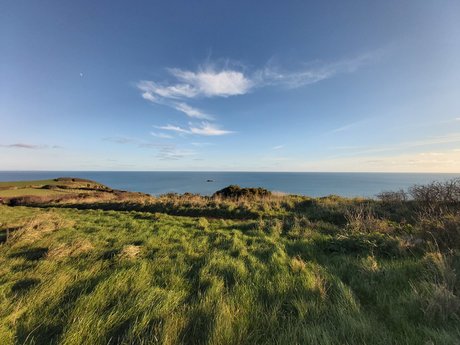 Tribs sex actress pics