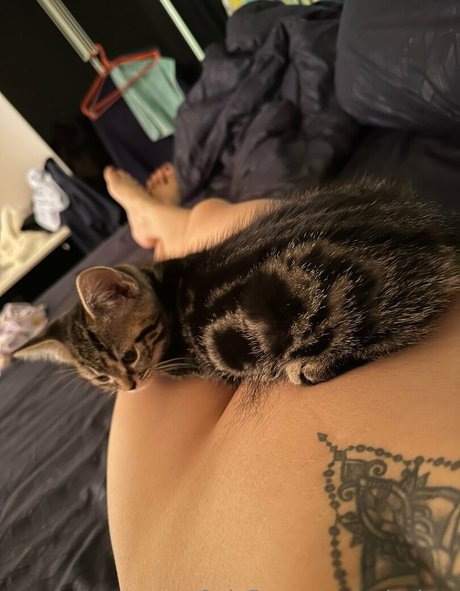 aylachoo top star pictures