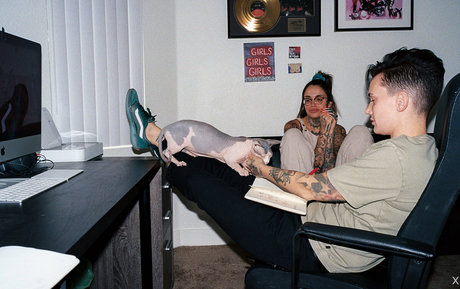 nikkihearts star high quality archive