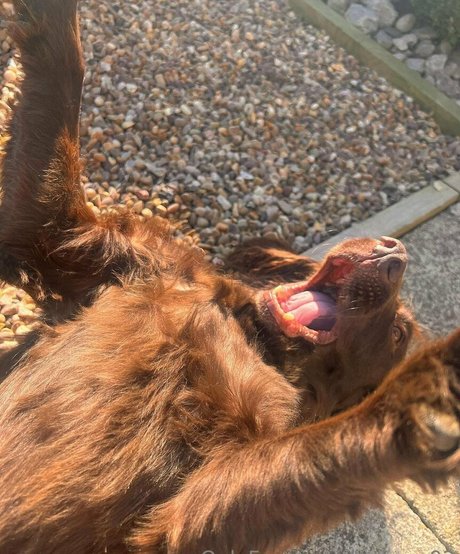 leorose02 free actress images