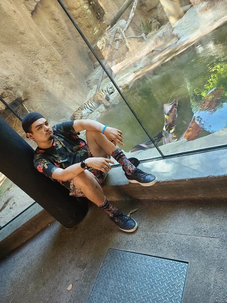 Mr bueno hd model galleries