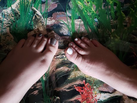 Yin1234 nudes pornstar photos