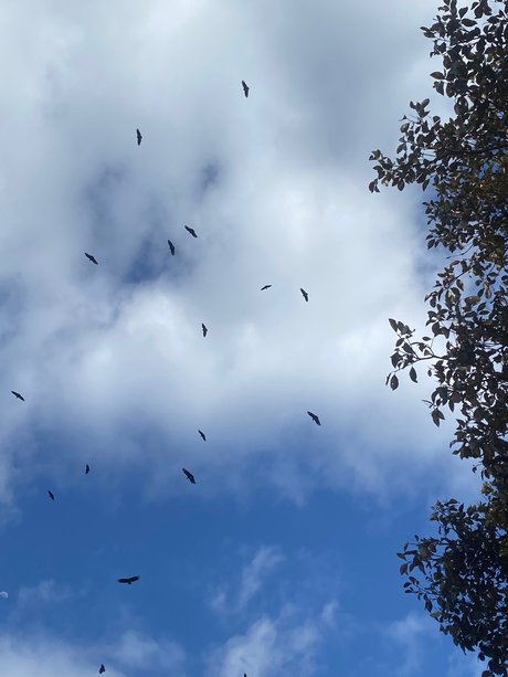 01Cinamondark pornstar art photo