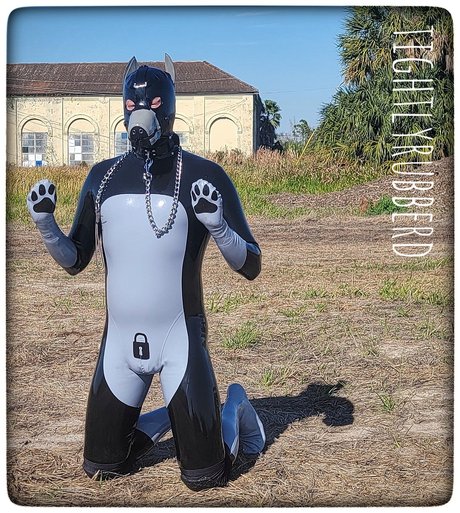 Tightlyrubberd perfect pornstar image