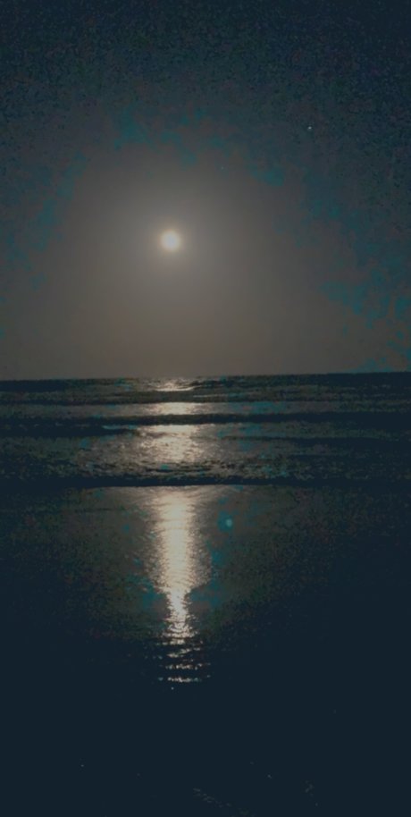 Just Jess star pornographic photos