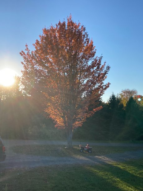 busty mom onlyfans free porn archive