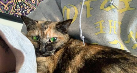 Wessy Wes sexy model pictures