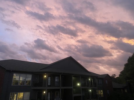 HeavenlyFeet actress gallery