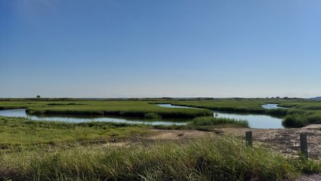 Tyler Cloud pretty pornstar gallery