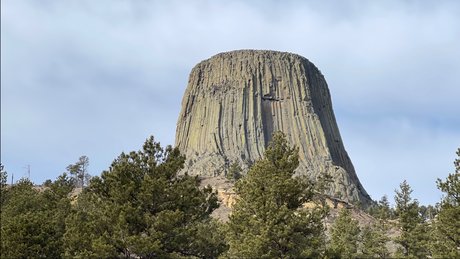 Tony amp ampTommy sexy star picture