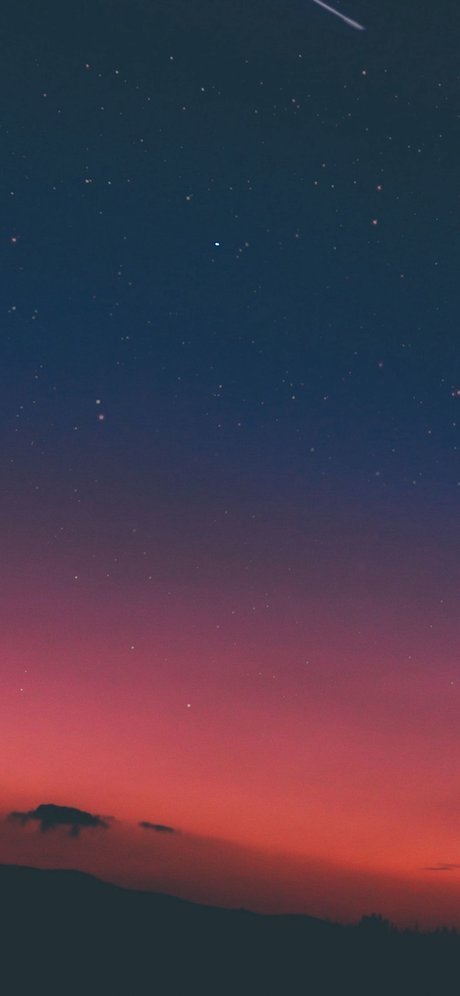 Tyler Choosen model art image