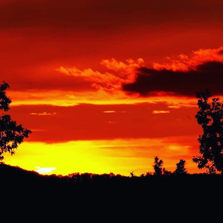 Dennis Leipzig pornographic actress galleries