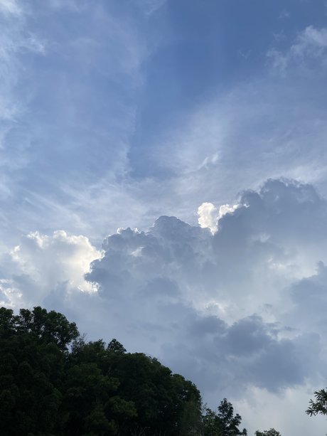 Fine China sex actress pictures