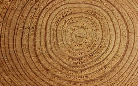 squirting pussy onlyfans adult pic