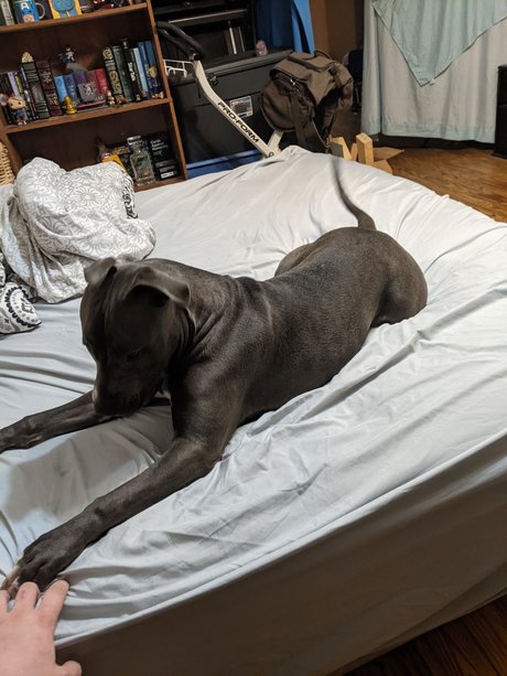 Philly erotic star image