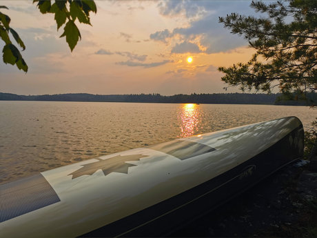 Fur N Foreskin high quality actress img