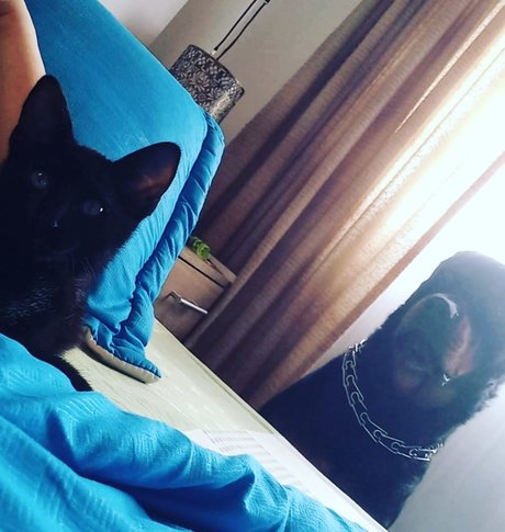 Dadney moreno model porn image