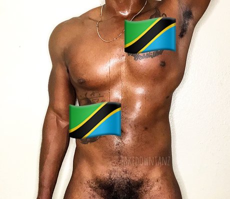 TAKE DOWN TANZ_ sex model picture